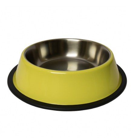 Dog Feeding Bowl