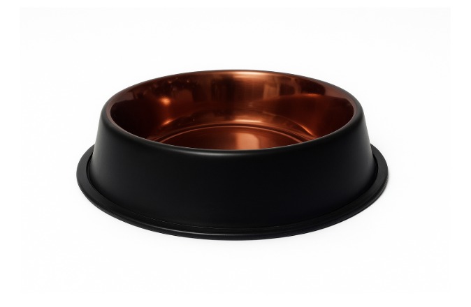 Pet Feeding Bowl