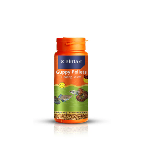 intan Guppy Pellets