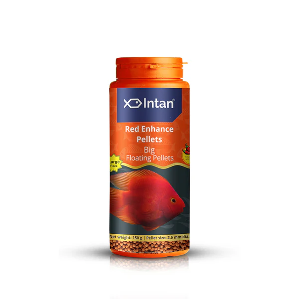 Intan Red Enhance Big Floating Pellets
