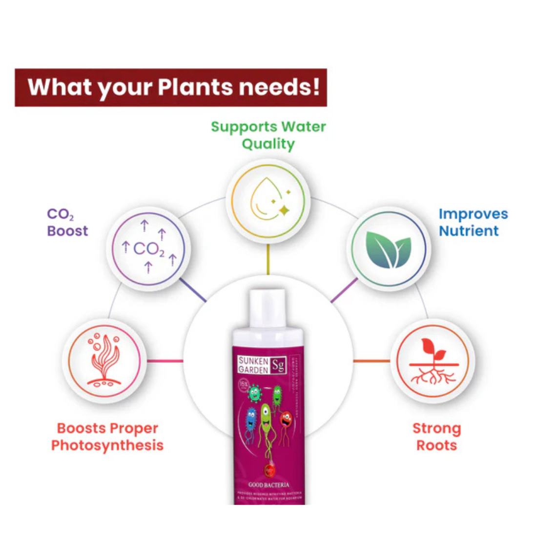 Untitled design - 2025-11-18T172924.833