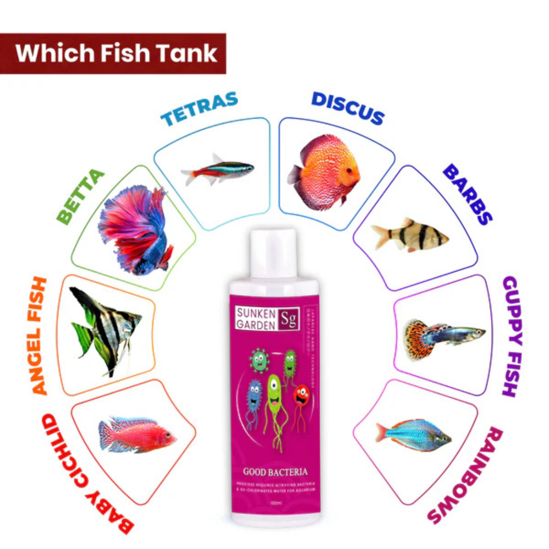 Untitled design - 2025-11-18T173127.032