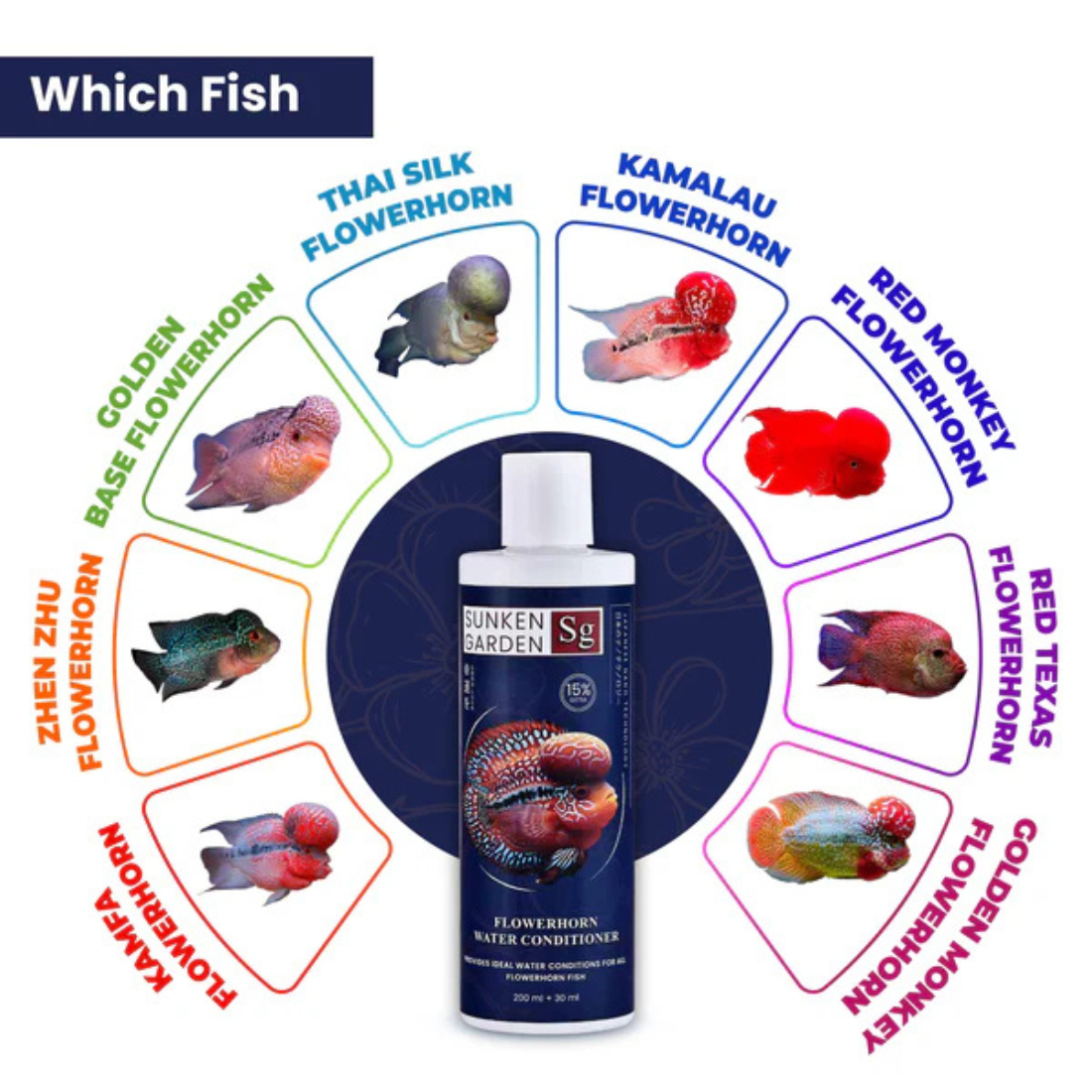 Untitled design (98)